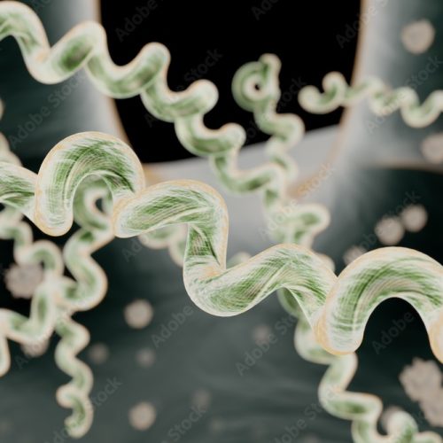 AdobeStock_174081199_Preview AdobeStock_174081199_Preview